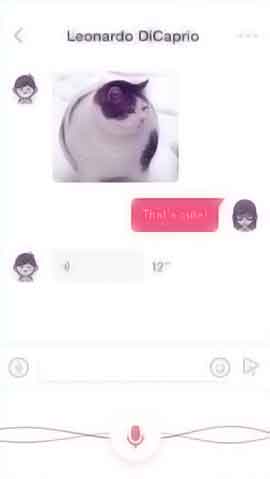 ddos攻击器安卓ios下载